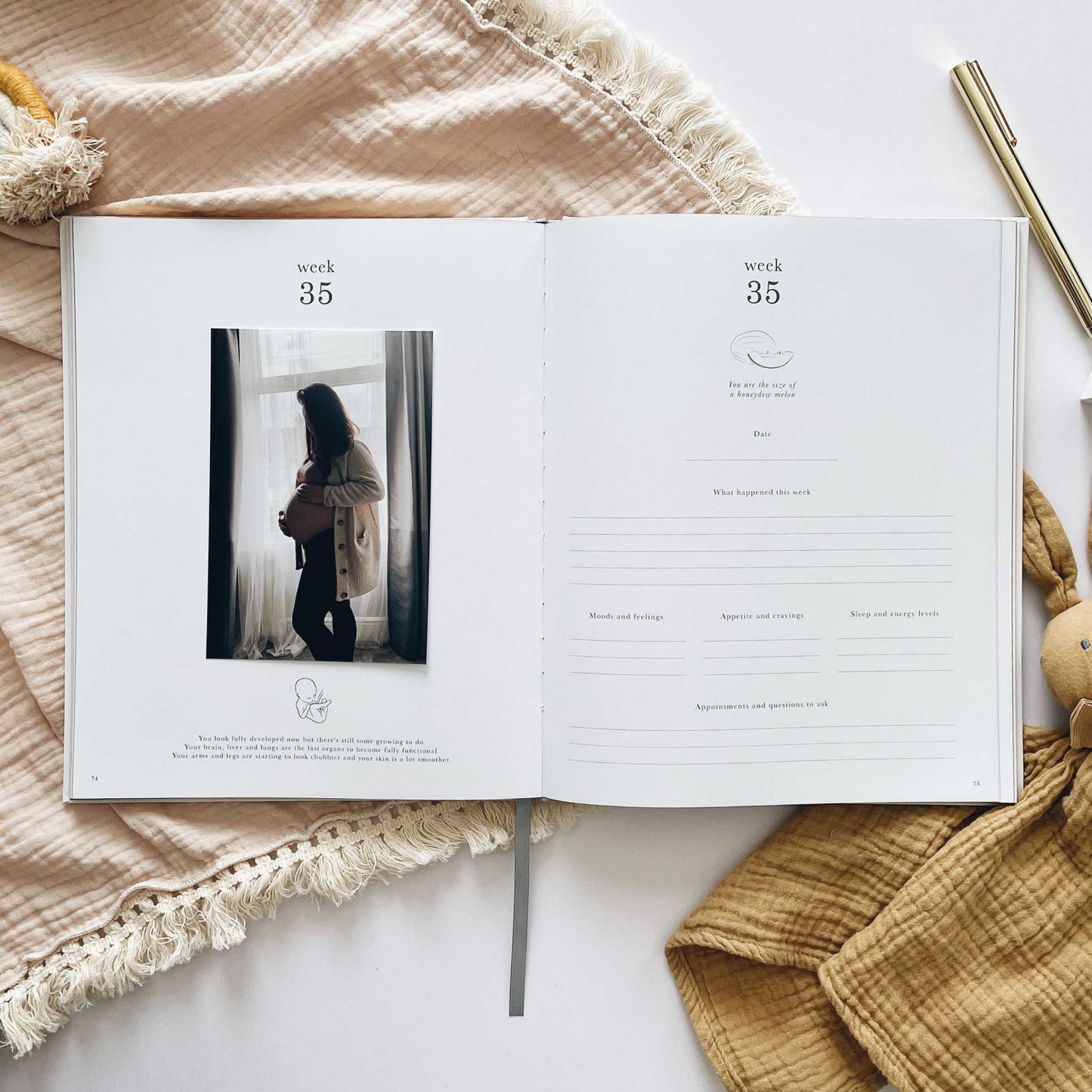 My Pregnancy Journal (Safari)